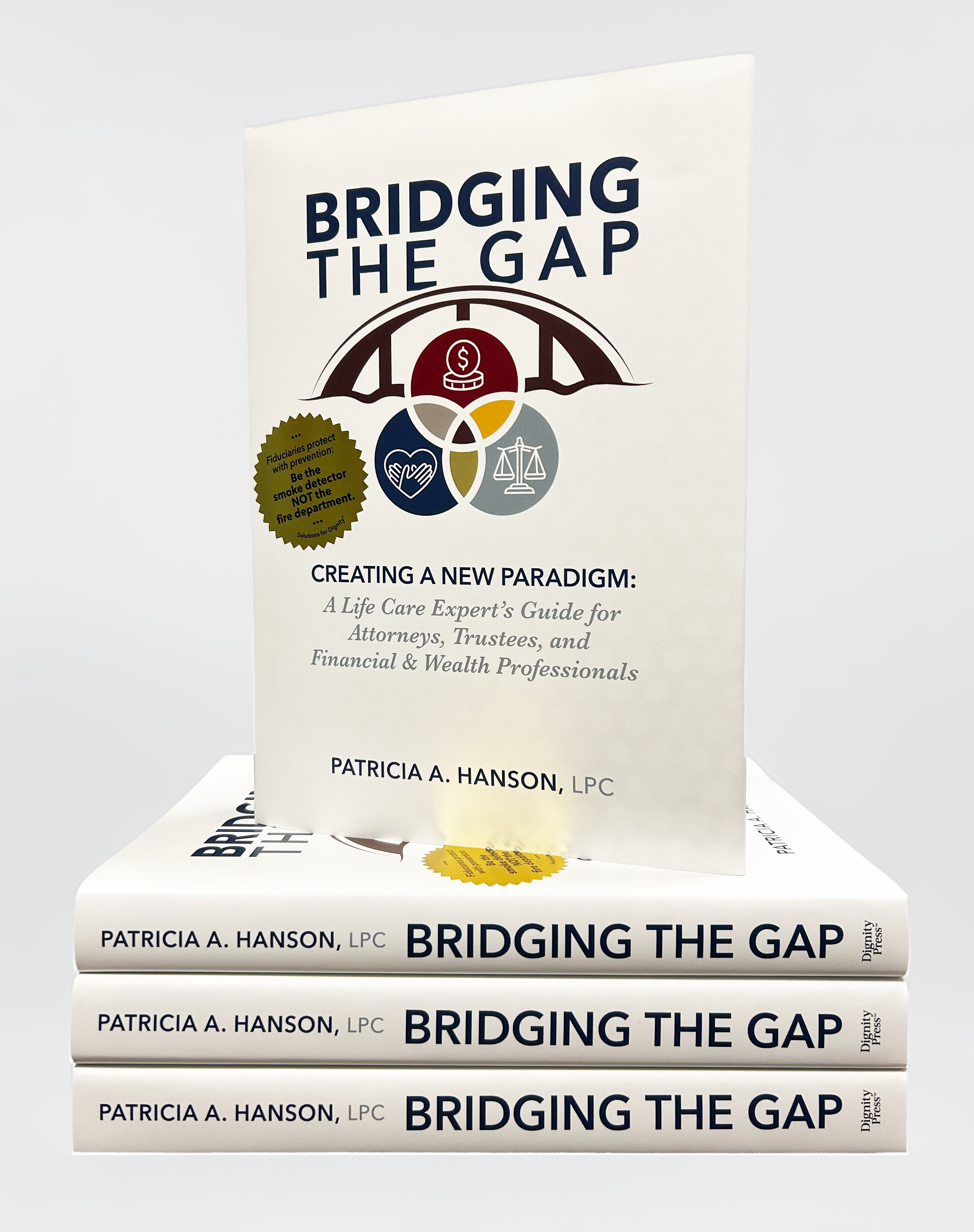 BRIDGING THE GAP: Creating a New Paradigm (Hardcover)