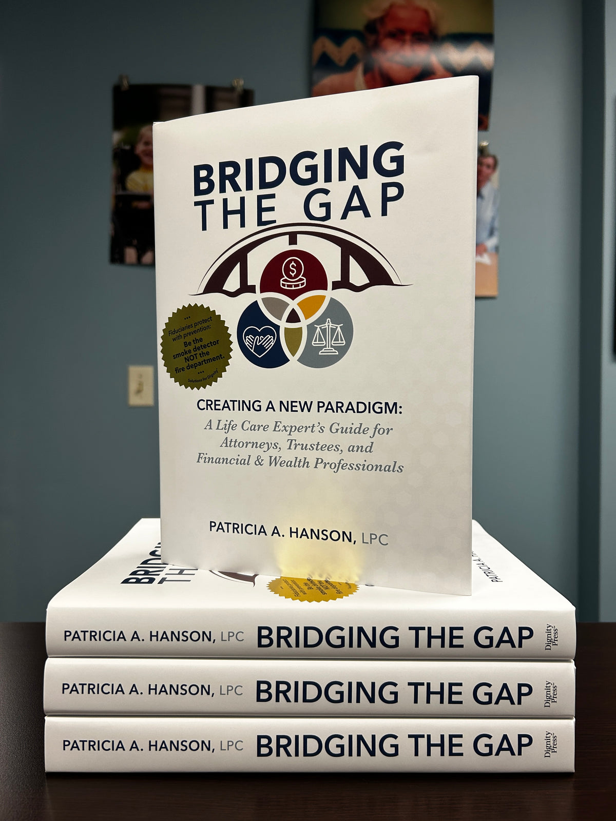 BRIDGING THE GAP: Creating a New Paradigm (Hardcover)